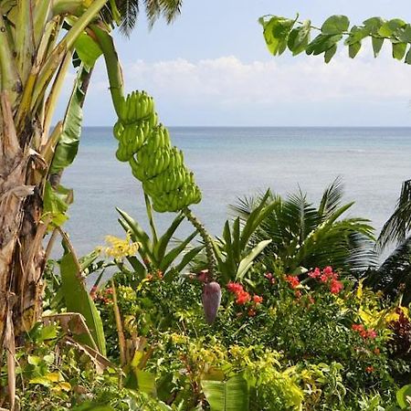 Coconut Grove Beachfront Cottages Matei Exteriér fotografie